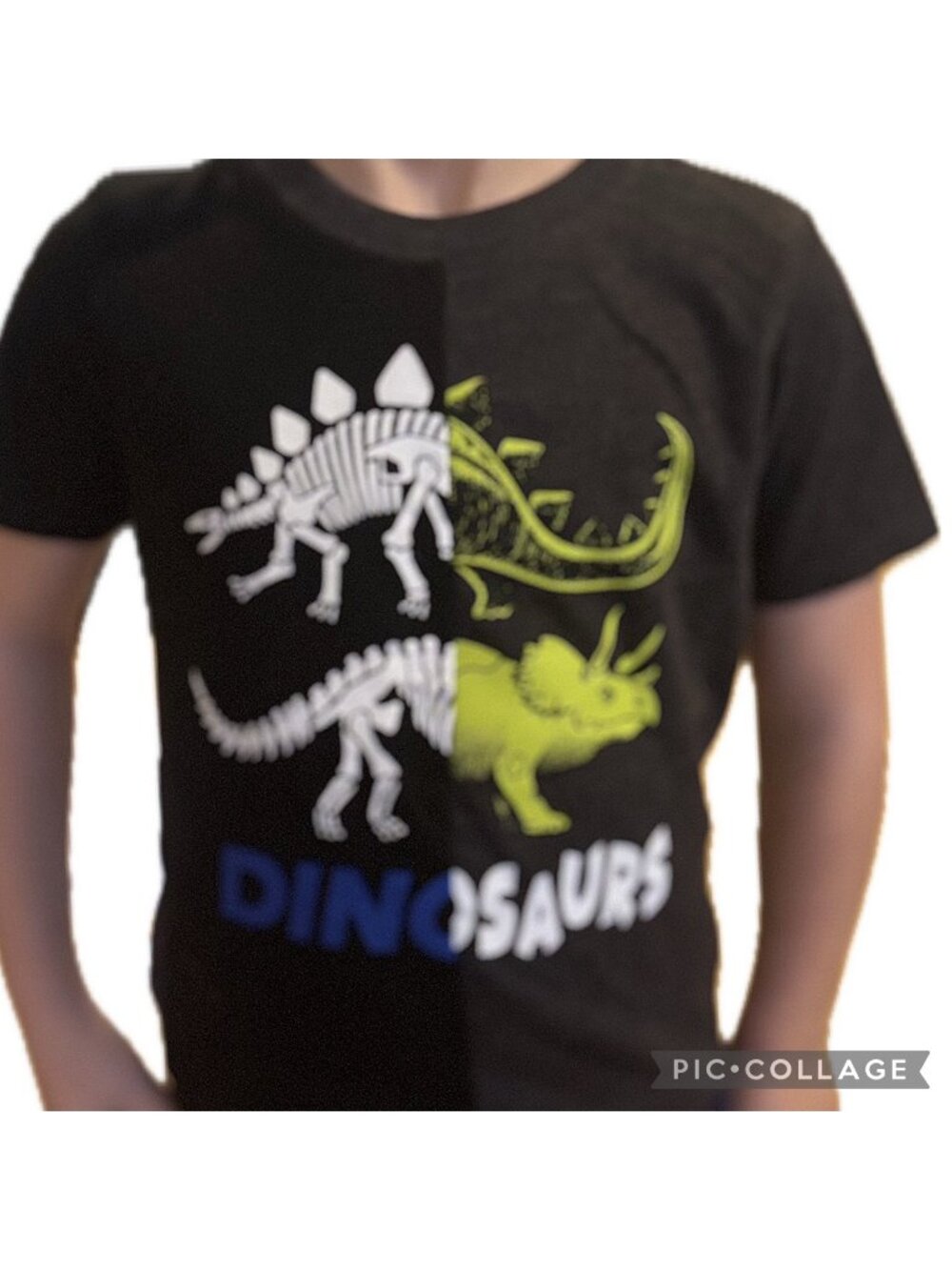 3T Garanimals dinosaur stegosaurus triceratops skeletons graphic T shirt EUC